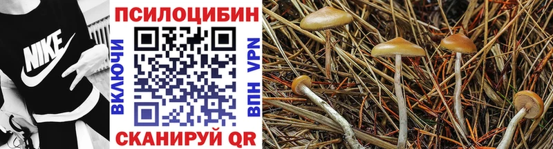 Псилоцибиновые грибы Magic Shrooms  Купить  Гурьевск 