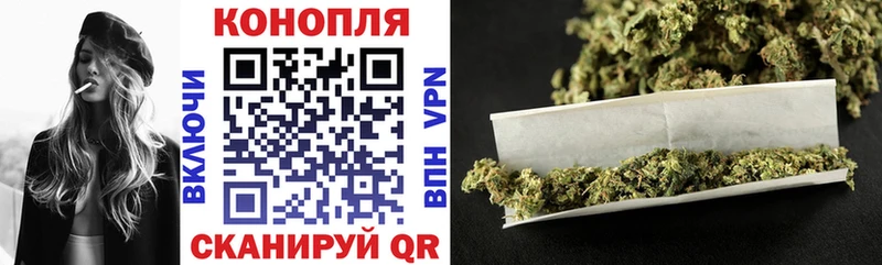 Купить  Гурьевск  Канабис план 
